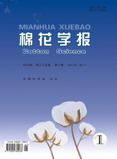华体育app官方下载