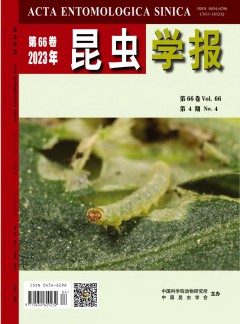 可按栏目继续浏览相关条目
