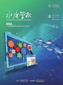 可先确认当前栏目名称