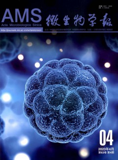 若从搜索引擎进入