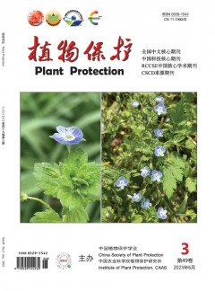 若从搜索引擎进入