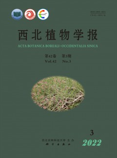 继续了解