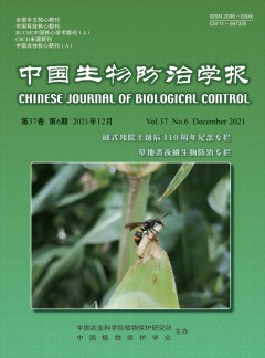可先确认当前栏目名称