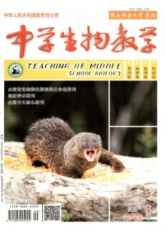 华体育app官方下载