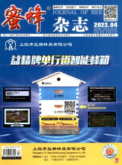 zazhi / 发表指导 / 网站首
