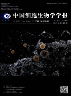 再按需打开相关阅读