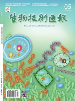 本站按公开材料组织页面