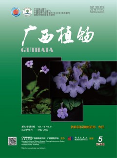 再按需打开相关阅读