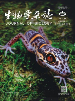 华体育app官方下载