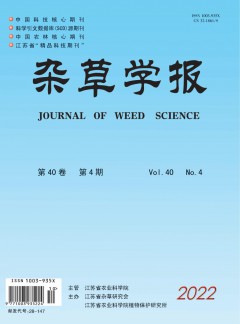 若从搜索引擎进入