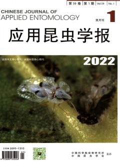 本站按公开材料组织页面
