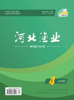 若从搜索引擎进入