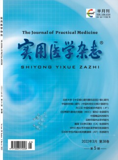 zazhi / 发表指导 / 网站首