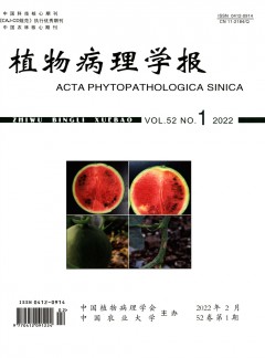 本站按公开材料组织页面