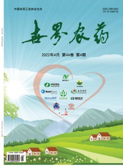 可先确认当前栏目名称