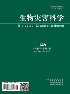 华体育app官方下载