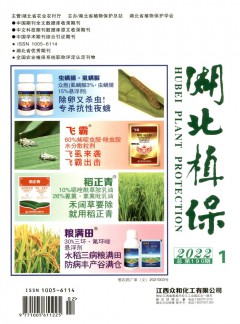 可按栏目继续浏览相关条目