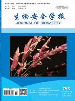 zazhi / 发表指导 / 网站首