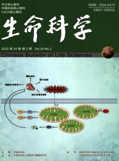 zazhi / 发表指导 / 网站首