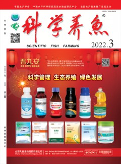 可按栏目继续浏览相关条目