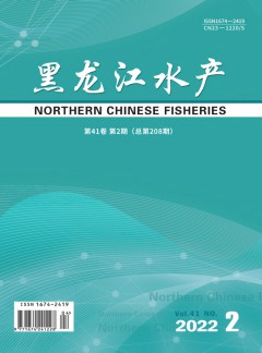 可先确认当前栏目名称