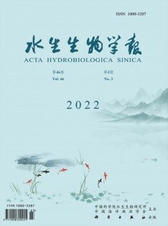 以下内容与「乐鱼体育官网首页」同属公
