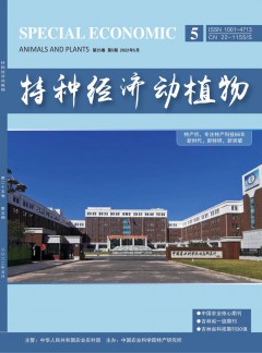 影响因子