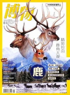 可先确认当前栏目名称