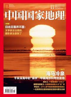 订阅折扣
